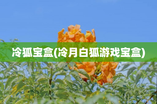 冷狐宝盒(冷月白狐游戏宝盒)