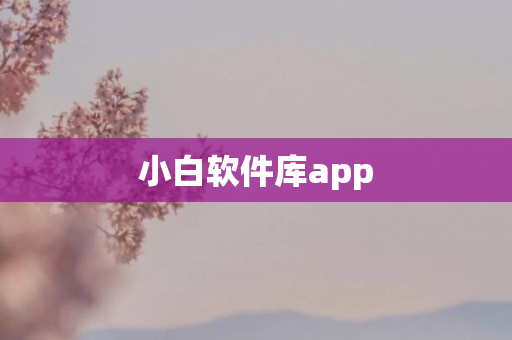 小白软件库app