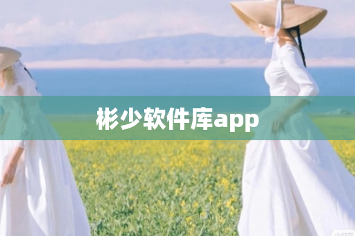 彬少软件库app