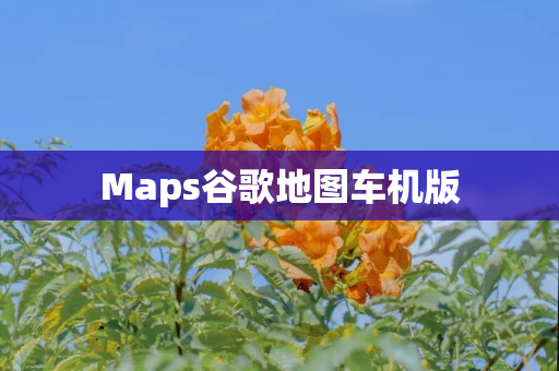 Maps谷歌地图车机版