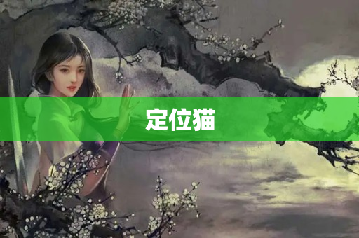 定位猫
