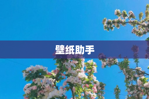 壁纸助手