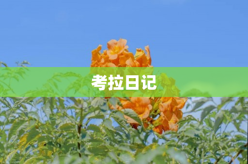 考拉日记