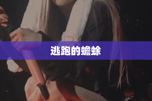 逃跑的蟾蜍