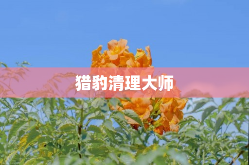 猎豹清理大师