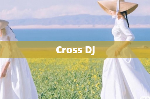 Cross DJ