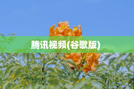 腾讯视频(谷歌版) 