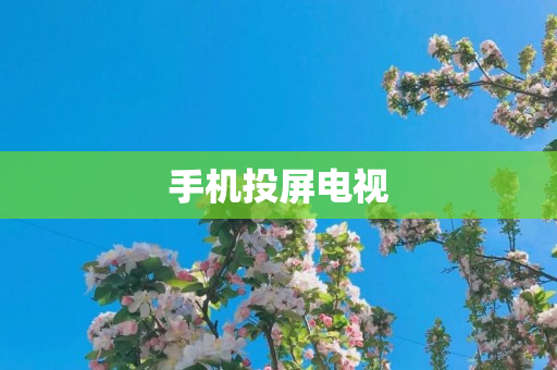 手机投屏电视