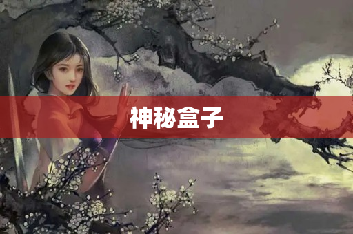 神秘盒子