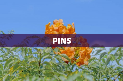 PINS