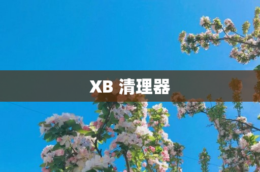 XB 清理器