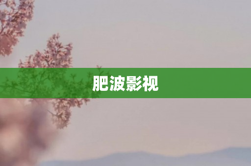 肥波影视