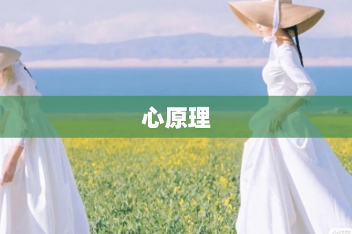 心原理
