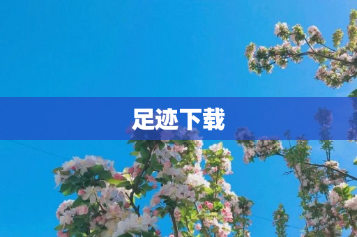 足迹下载