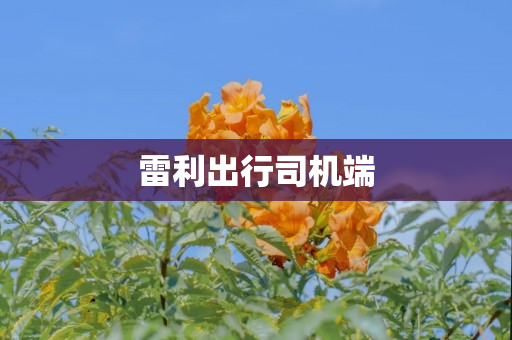 雷利出行司机端