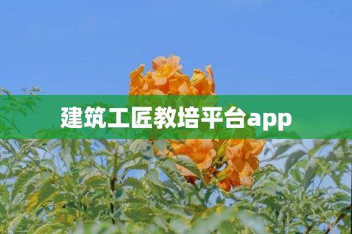 建筑工匠教培平台app