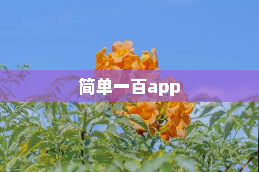 简单一百app