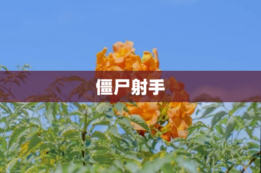 僵尸射手