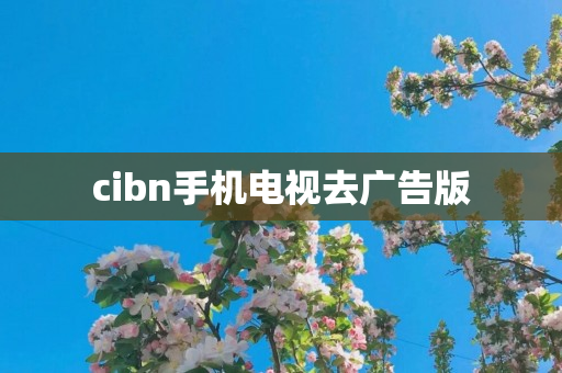 cibn手机电视去广告版