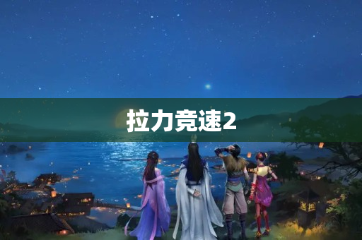 拉力竞速2