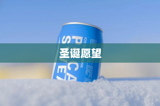 圣诞愿望