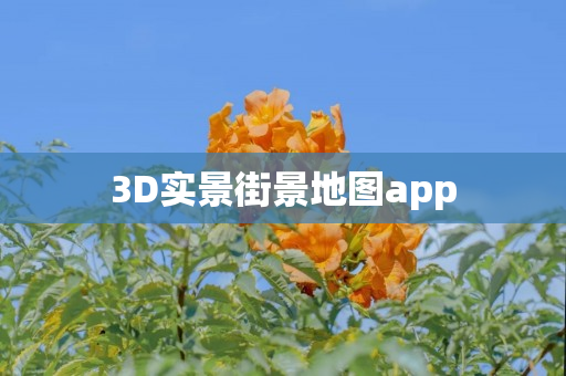 3D实景街景地图app