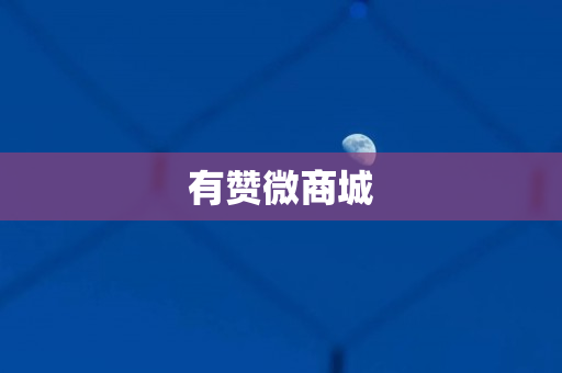 有赞微商城