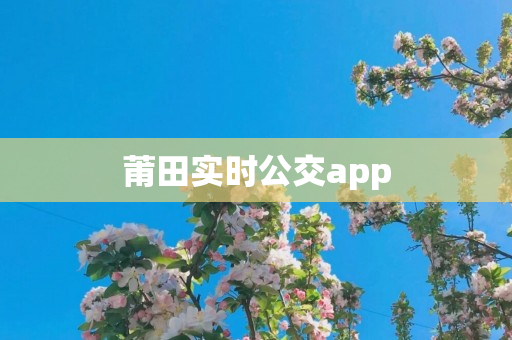 莆田实时公交app