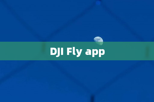 DJI Fly app