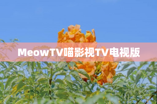 MeowTV喵影视TV电视版
