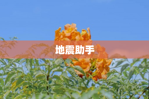 地震助手