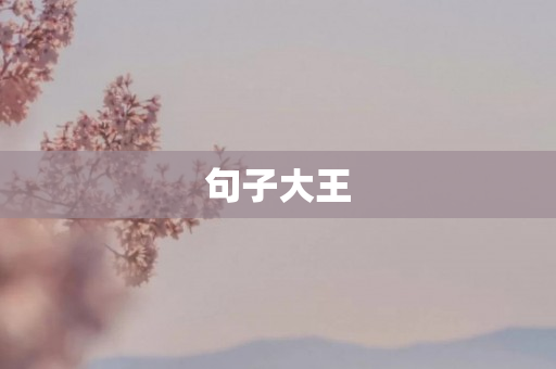 句子大王