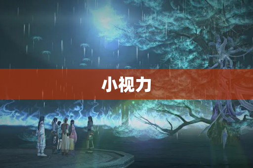 小视力