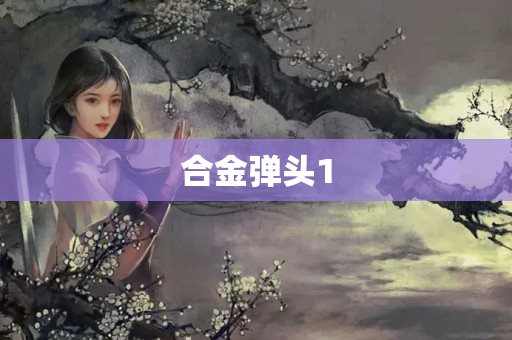 合金弹头1