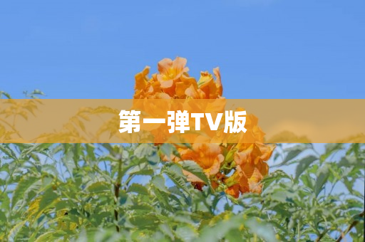 第一弹TV版