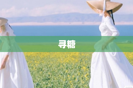 寻糖