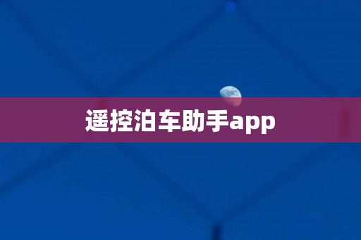 遥控泊车助手app