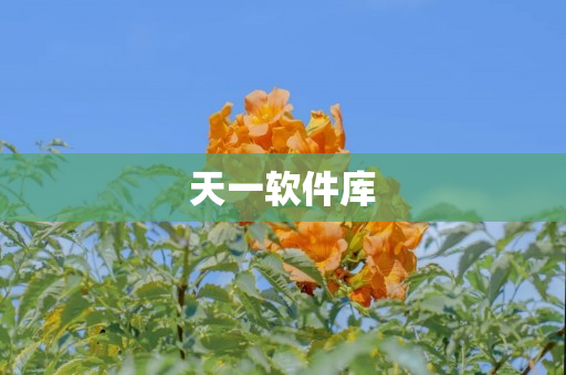 天一软件库