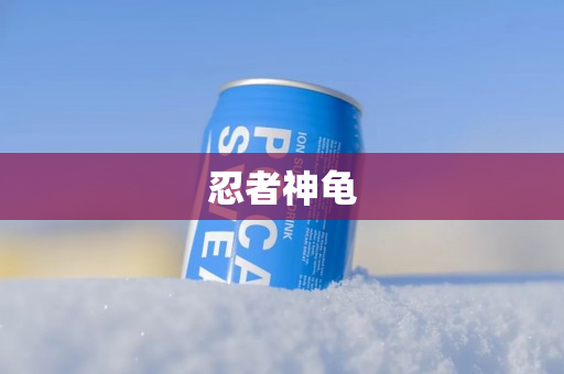 忍者神龟