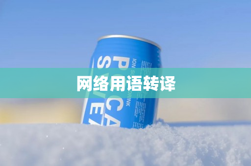 网络用语转译