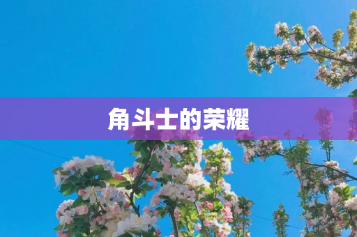 角斗士的荣耀