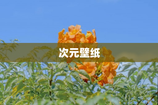 次元壁纸