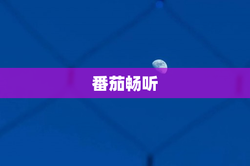 番茄畅听