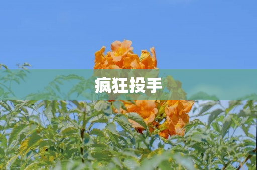疯狂投手