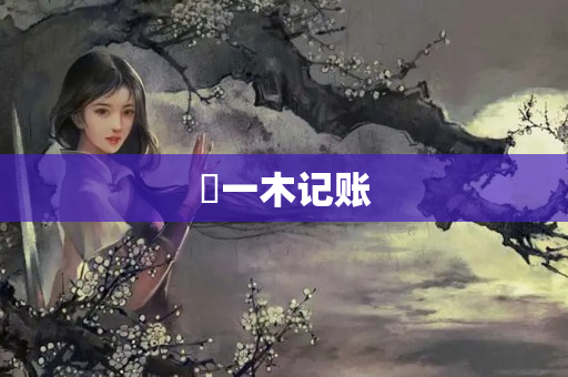​一木记账