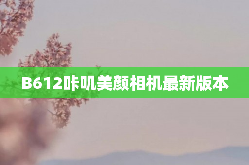 B612咔叽美颜相机最新版本
