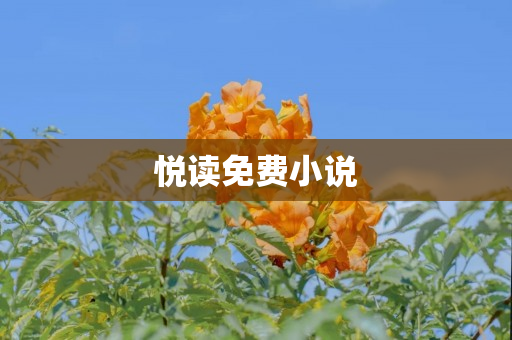 悦读免费小说