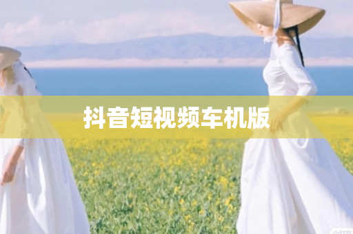 抖音短视频车机版