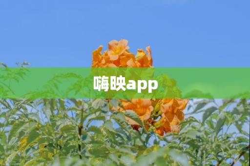 嗨映app