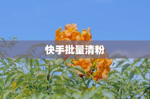 快手批量清粉